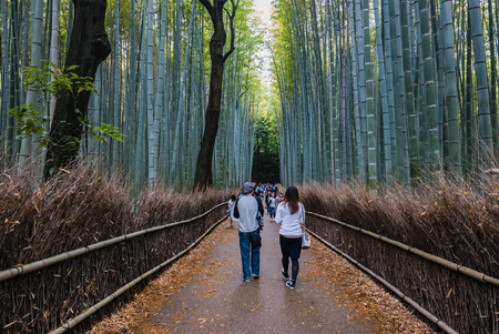 Kyoto, Japan - May 7, 2016: Tourist visiting bamboo forest of Arashiyama, Kyoto, Japan. Arashiyama is a district on the western outskirts of Kyotoのeditorial素材