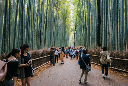 Kyoto, Japan - May 7, 2016: Tourist visiting bamboo forest of Arashiyama, Kyoto, Japan. Arashiyama is a district on the western outskirts of Kyotoのeditorial素材