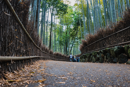 Kyoto, Japan - May 7, 2016: Tourist visiting bamboo forest of Arashiyama, Kyoto, Japan. Arashiyama is a district on the western outskirts of Kyotoのeditorial素材