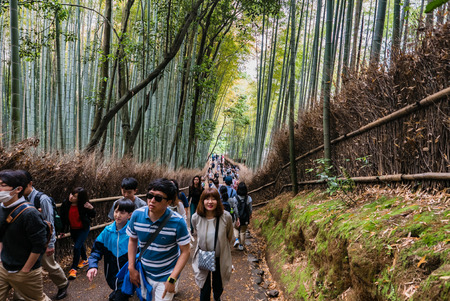 Kyoto, Japan - May 7, 2016: Tourist visiting bamboo forest of Arashiyama, Kyoto, Japan. Arashiyama is a district on the western outskirts of Kyotoのeditorial素材