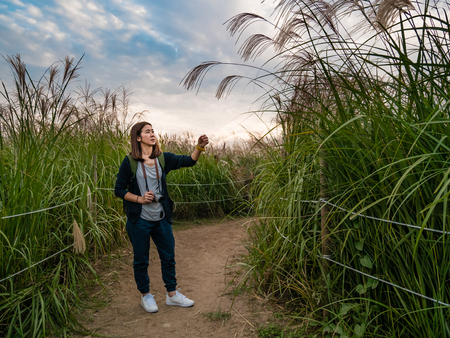Tourist visiting Haneul Park, Haneul Park consists of vast grassland in Seoul, South Korea.の写真素材