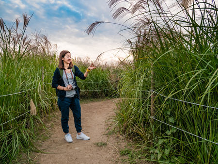 Tourist visiting Haneul Park, Haneul Park consists of vast grassland in Seoul, South Korea.の写真素材