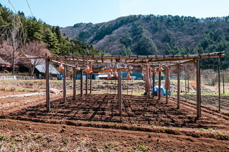 Yamanashi, Japan - April 20, 2017 : Saiko Iyashino-Sato Nenba ancient japanese village is a reconstructed Japanese village where visitors can explore In each individual building, enjoy traditional craft making activities.のeditorial素材