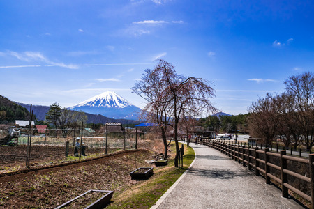 Yamanashi, Japan - April 20, 2017 : Saiko Iyashino-Sato Nenba ancient japanese village is a reconstructed Japanese village where visitors can explore In each individual building, enjoy traditional craft making activities.のeditorial素材