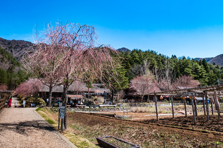 Yamanashi, Japan - April 20, 2017 : Saiko Iyashino-Sato Nenba ancient japanese village is a reconstructed Japanese village where visitors can explore In each individual building, enjoy traditional craft making activities.のeditorial素材