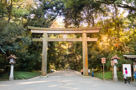 Tokyo, Japan - October 31, 2018: Torii, a traditional Japanese gate at the entrance of Meiji Shrine located in Shibuya, Tokyo, Japan. Meiji Shrine is the Shinto shrine built in 1920.のeditorial素材