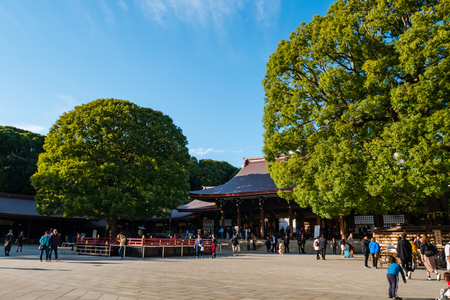 Tokyo, Japan - October 31, 2018: Tourists visiting Meiji-jingu shrine, Meiji Shrine in Shibuya, Tokyo, Japan. It is the Shinto shrine built in 1920.のeditorial素材