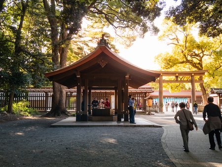 Tokyo, Japan - October 31, 2018: Tourists visiting Meiji-jingu shrine, Meiji Shrine in Shibuya, Tokyo, Japan. It is the Shinto shrine built in 1920.のeditorial素材
