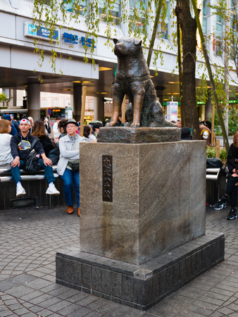 Tokyo, Japan - October 31, 2018:  Hachiko Memorial statue. The story of Akita dog became legend at Shibuya Hachiko Exit in Shibuya train station  in Tokyo, Japan.のeditorial素材