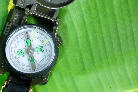Compass with green Leafの写真素材