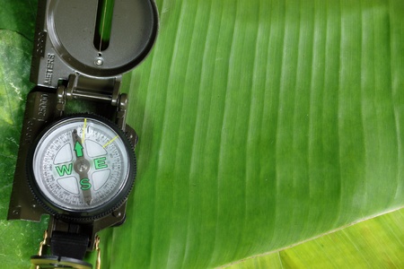 A Compass on Green Leaf