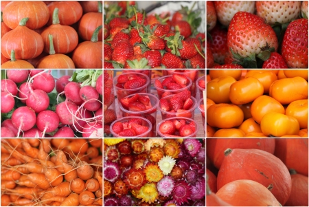 Colorful pictures of fruits and vegetablesの写真素材