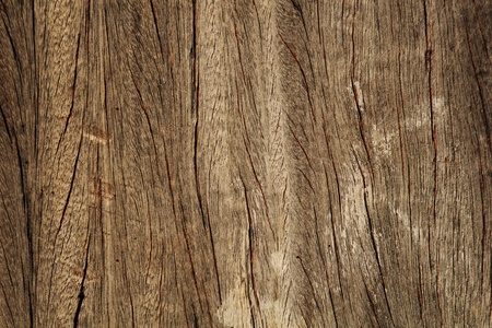 Wood Textureの写真素材