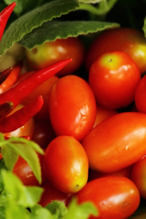 Small Tomatoes の写真素材