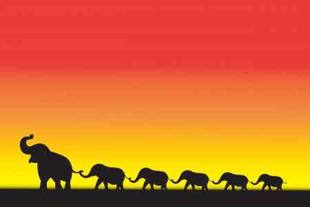 Elephant Family walk sunsetのイラスト素材