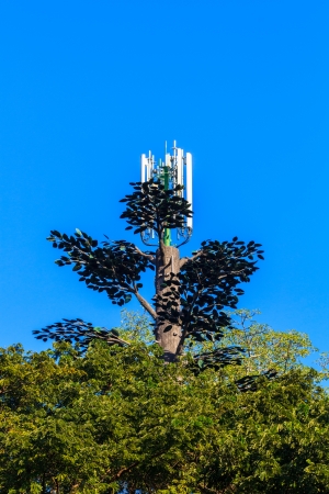 Tower Treeの写真素材