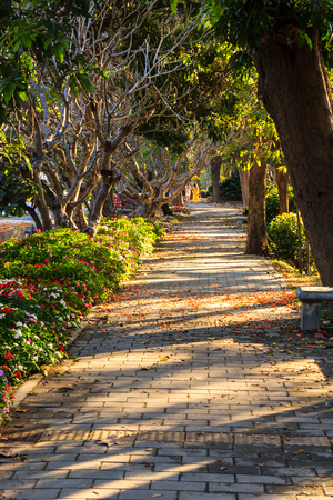 Walkwayの写真素材