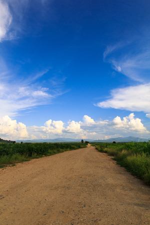 Country Roadの写真素材
