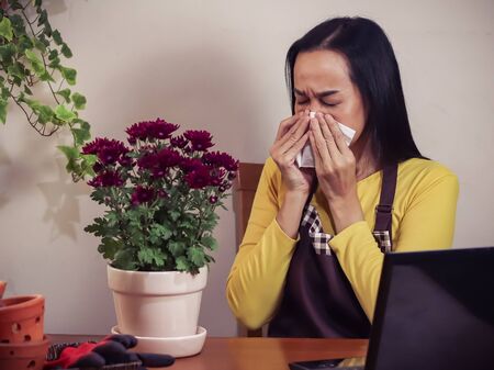 Asian female gardener  with allergy sitting at wooden table with flowers in flower pot,   holding facial tissue and sneezing.の写真素材