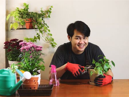 Handsome Asian male gardener taking care of his plants at wooden table indoor , cutting dry leaves , smiling and looking to camera.Gardening concept.の写真素材
