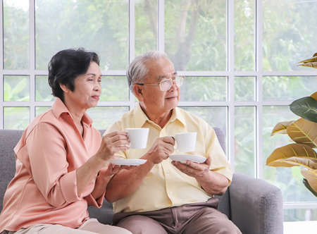 Senior people lifestyle concept. Happy Asian elderly couple sitting on sofa in living room ,...