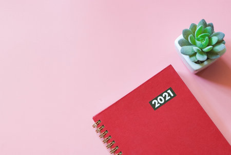 Top view of red diary or planner 2021 with succulent plant pot on pink background with copy space....