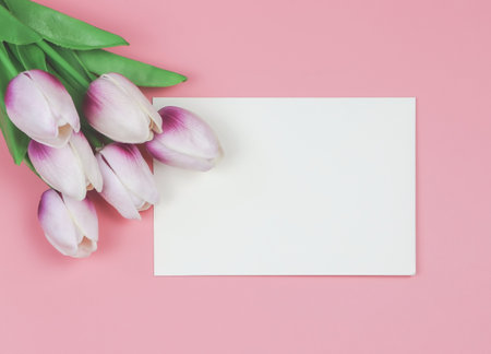 Top view or flat lay of purple and white  tulip flower bouquet and blank paper  on pink background.Copy space for text. Feminine concept.の写真素材