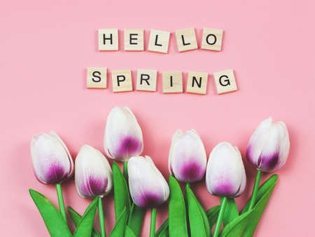 Top view or flat lay of wooden letter HELLO SPRING on pink background with purple-white tulips flower decoration.の写真素材