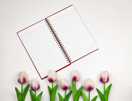 Top view or flat lay of opened notebook or diary  on white background with tulips decoration.の写真素材
