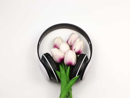 Top view of purple white tulip bouquet in whte headphone on white background with copy space. Love song, spring music and Audio book.の写真素材