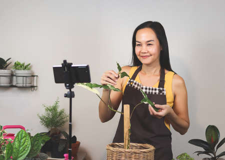 Asian female gardener in  sleeveless shirt and apron, using mobile phone to record video about houseplant  taking care. Asian woman selling houseplant online. Selective focus.の写真素材