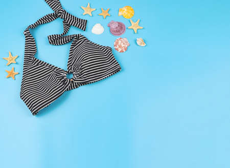 Top view or flat lay of bikini, sea shells and starfish on blue background. Vacation or summer...