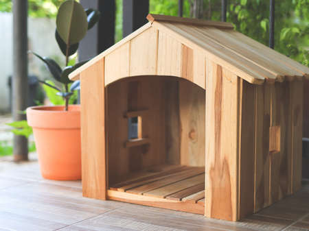 Empty wooden dog's house in balcony decorated with houseplant in plant pot.の写真素材