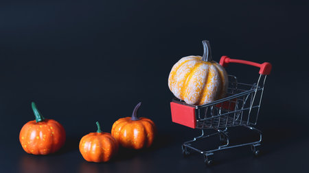 Front view of pumpkins with supermarket cart or trolley on black background. Autumn Halloween  and  Thanksgiving day concept.の写真素材