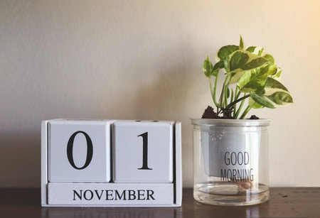 Front view of wooden calendar 1 November and plant pot with good morning text on wooden table and...