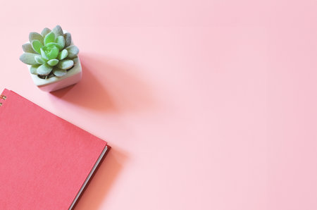 Top view of red diary or planner  with succulent plant pot on pink background with copy space.の写真素材