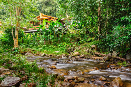 house in jungle and streamのeditorial素材