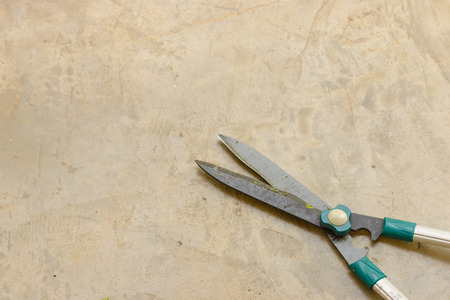 Green grass shears on dirted cement background.の写真素材