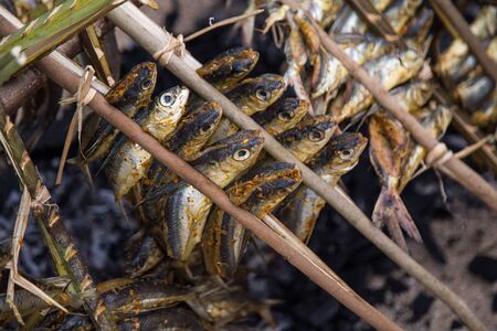 Grilled fish with spices on fire close up. Grilling fish on campfireの写真素材