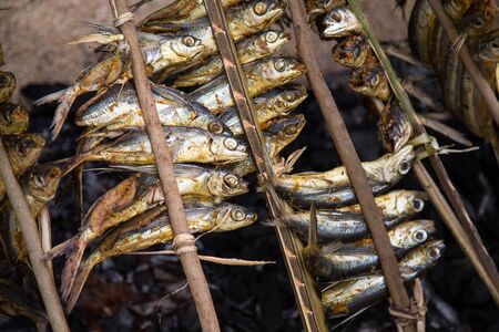 Grilled fish with spices on fire close up. Grilling fish on campfireの写真素材