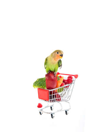 Peach-Faced Lovebird Perching on Shopping Cart filled with Fresh Fruit and Vegetables isolated on white with copy space.の写真素材