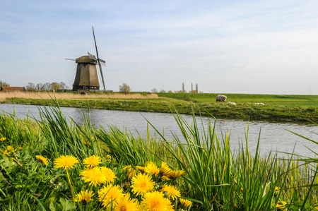 Windmill with Sheep grazing next to a canal in rural Netherlands.の写真素材