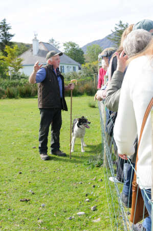 Shepherd holding a staff and sheep dog at tourist showGlen Keen Farm-Northern Ireland/ May 22, 2020: Shepherd of a sheep farm in Ireland describes the care and training of sheep dogs to onlookers.. High quality photoのeditorial素材