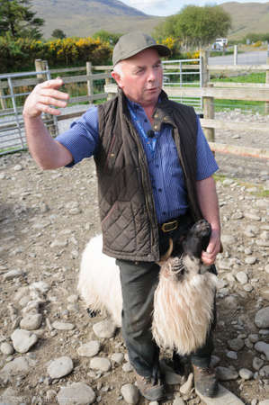 Glen Keen Farm-Northern Ireland/ May 22, 2020: Shepherd of a sheep farm in Ireland describes the care and training of sheep dogs to onlookers. High quality photoのeditorial素材