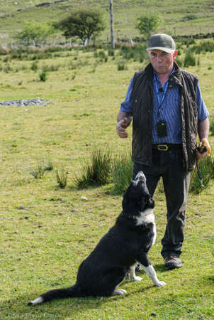 A man and a dog in a field. High quality photoのeditorial素材