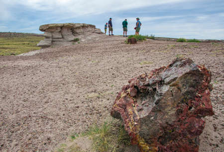 People view the petrified wood at the Petrified Forest National Park in Arizona, USA.の写真素材