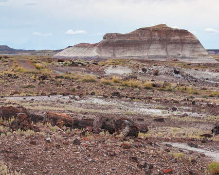 Petrified Tree lies on the ground with a multi-colored, layered hill in the background at Petrified Forest National Park in Arizona, USAの写真素材