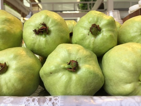 Green Guava fruit at market in Thailandの写真素材