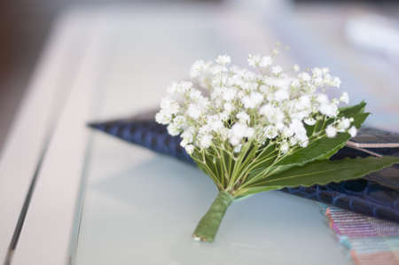 Wedding event held in the hills of the Province of Modenaの写真素材