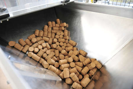 The Autumn period of the grape harvest and of the Wine offer unforgettable scenes. Places of grape...